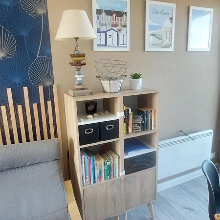 Le 246 - Duplex 1 Chambre Face A La Mer Avec Wifi, Tv, Parking, Terrasse Daire